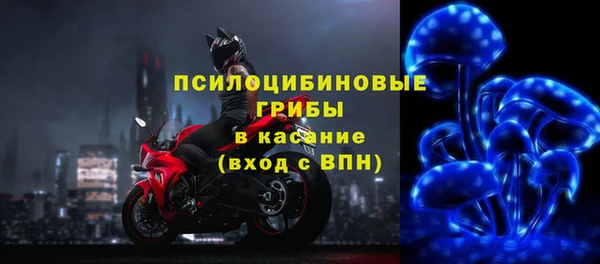 гашик Баксан
