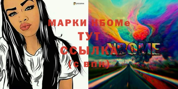 дмт Новодвинск