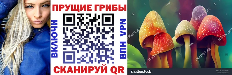 магазин продажи   Ясногорск  Галлюциногенные грибы прущие грибы 